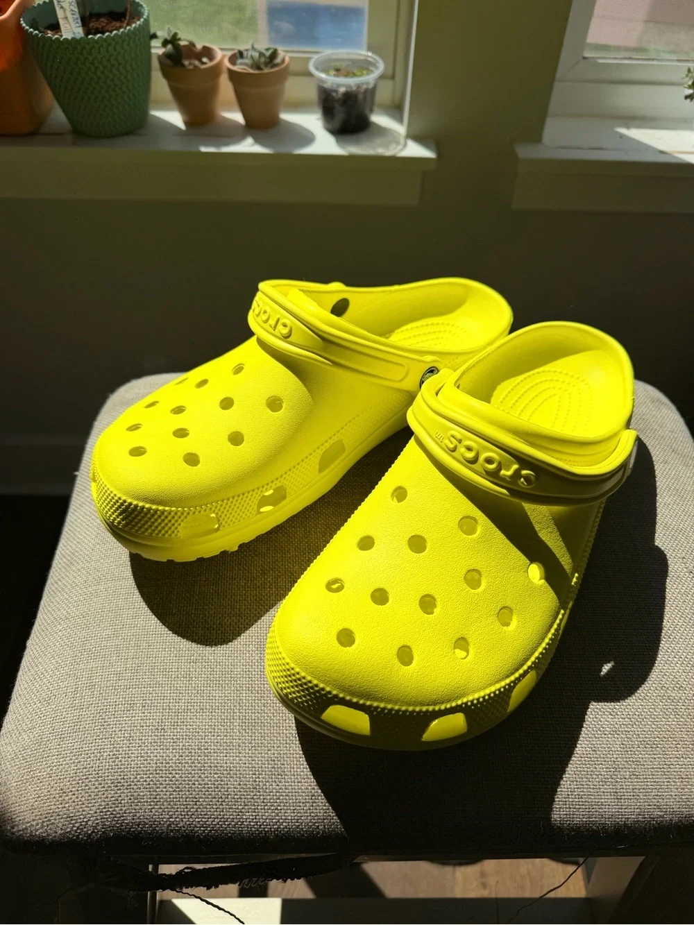 CROCS Classic Clog in Bright Yellow